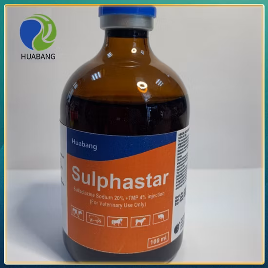 Medical and Health/Other Medicine/Medical Products/Drug/Pharmaceuticals/Infusion/Intravenous 100ml:0.9g Sodium Chloride Injection