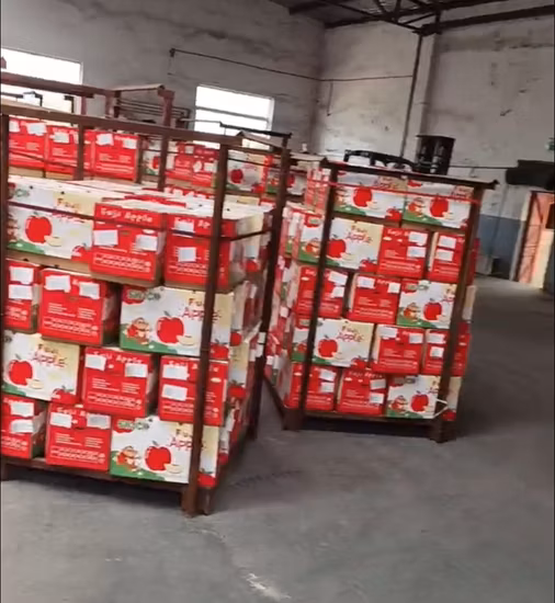 Chinese Sweet Fresh Royal Gala Apple Fresh FUJI and Red Star Apples and Other Fresh Fruits at Wholesale Price in Bulk for Export